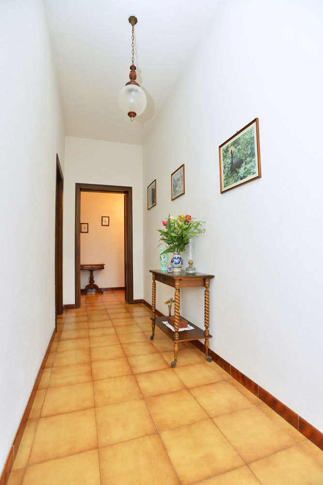 Izzhome Cozy Sunflowers Pula Luaran gambar